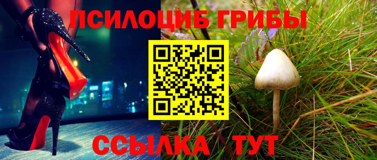 цены   Псилоцибиновые грибы Magic Shrooms  Вход с VPN  Зеленокумск  Галлюциногенные грибы Psilocybe 